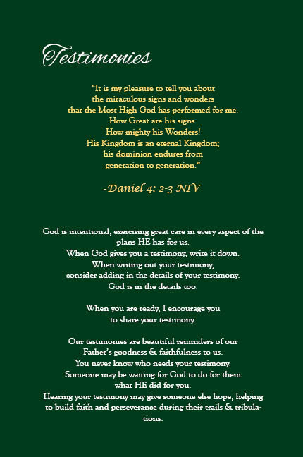 My Journal of God's Wonderful Works